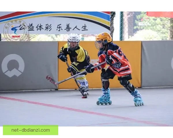 冰球冠军的辉煌历程：荣耀时刻与团队拼搏，奋斗成就传奇风采