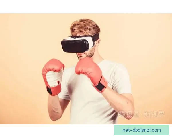 拳击训练新思路：全息虚拟教练引领下的个性化训练方案